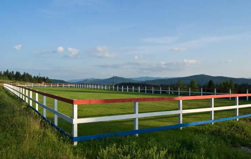 Horse Fence Painting