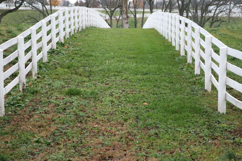 Horse Fence Painting with Sunset
