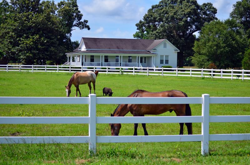 Rustic Horse Fence Art